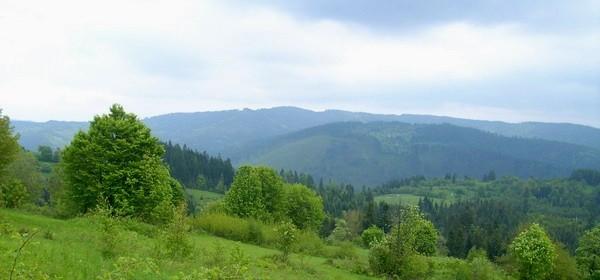 Nad Nickuliną
