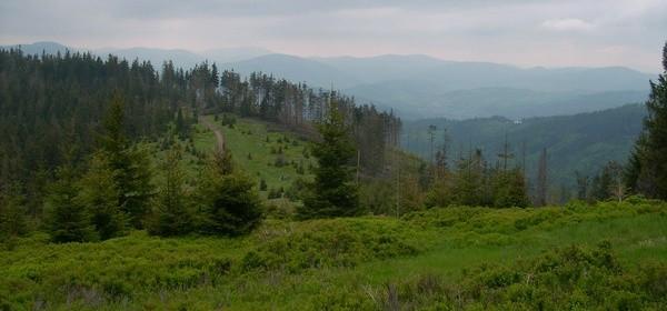 Widok z Hali Redykalnej