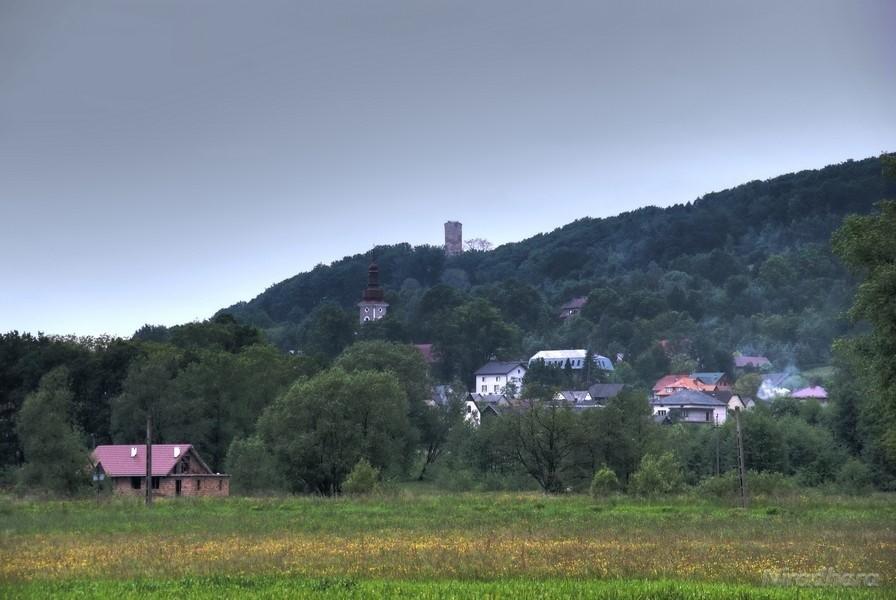 zamek w Babicach