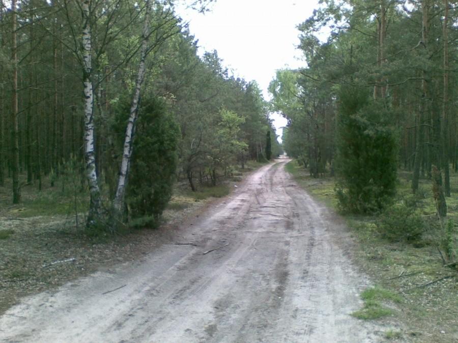 Polna droga