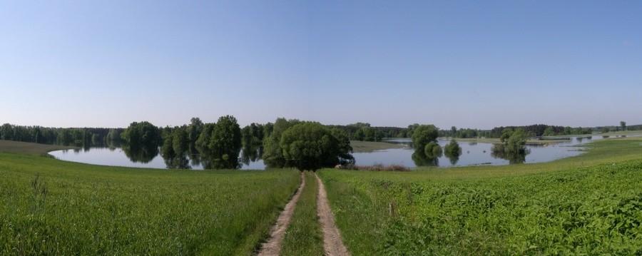 Rozlana Warta w Radzewicach