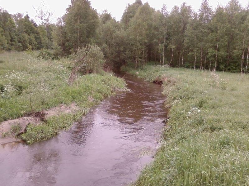 Bzura spokojna...