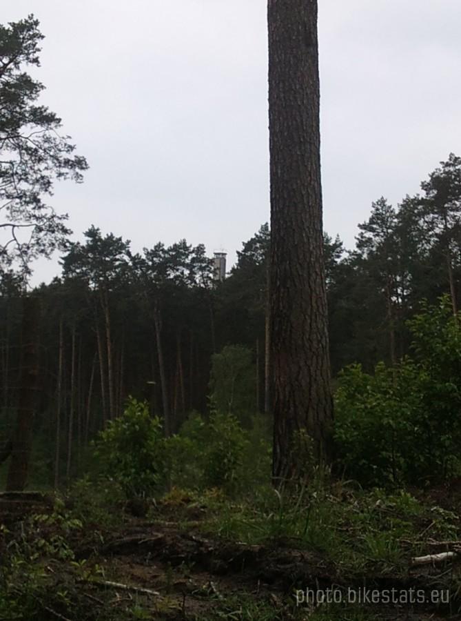 Wieża pożarowa Widoń