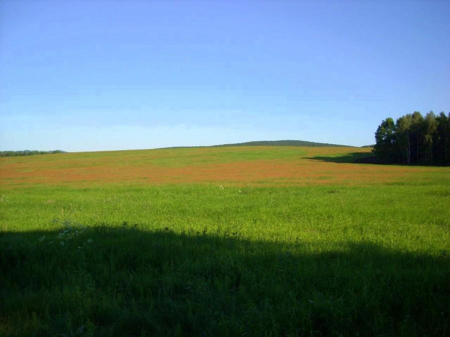 Prawie jak tapeta z Windows`a