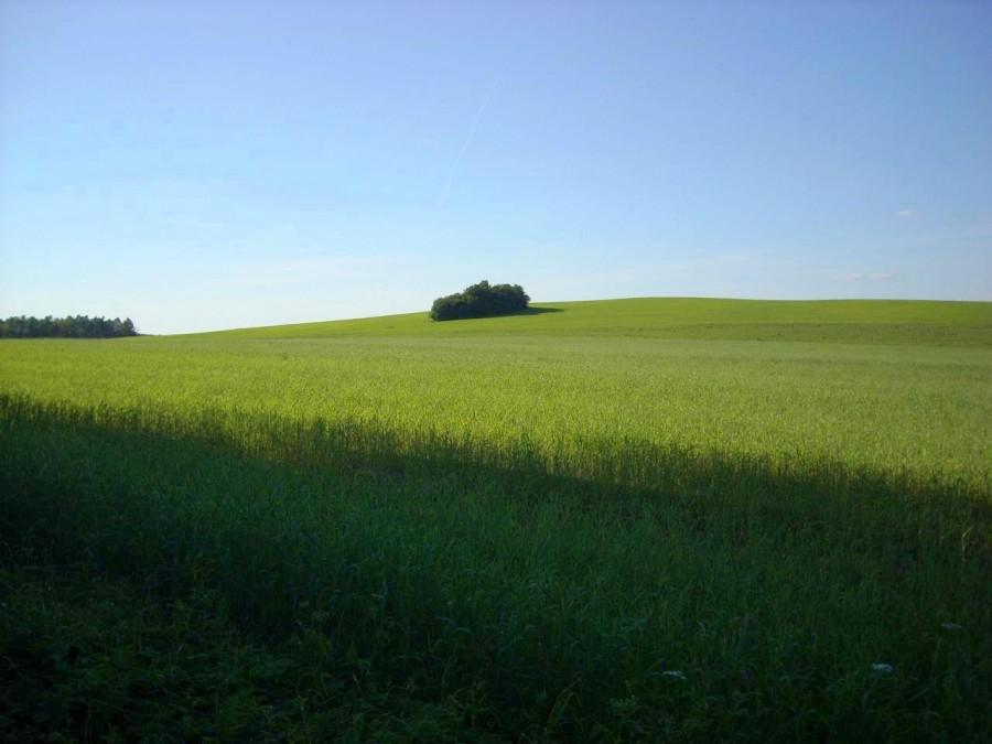 Prawie jak tapeta z Windows`a 2