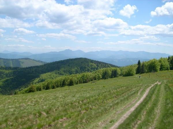 Widoki tuż pod szczytem Wielkiej Raczy
