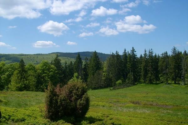 Widok w kierunku Wielkiej Raczy