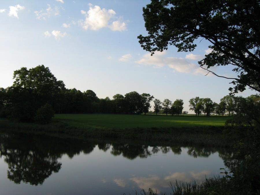 Staw na Helence