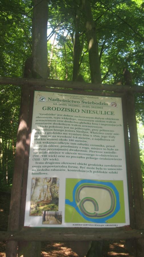 Grodzisko Niesulice - opis