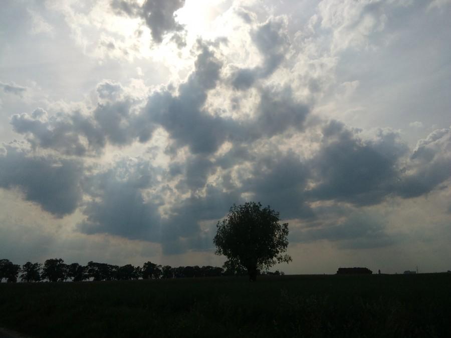 Takich widoków nie obejrzysz siedząc na kanapie.