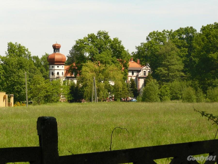 Pałac w Miedarach