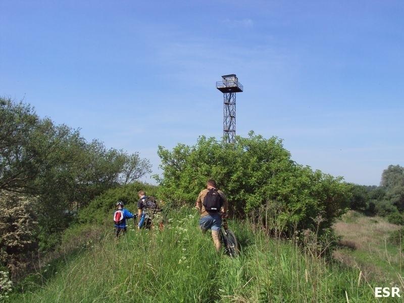 Wieża nad Nogatem