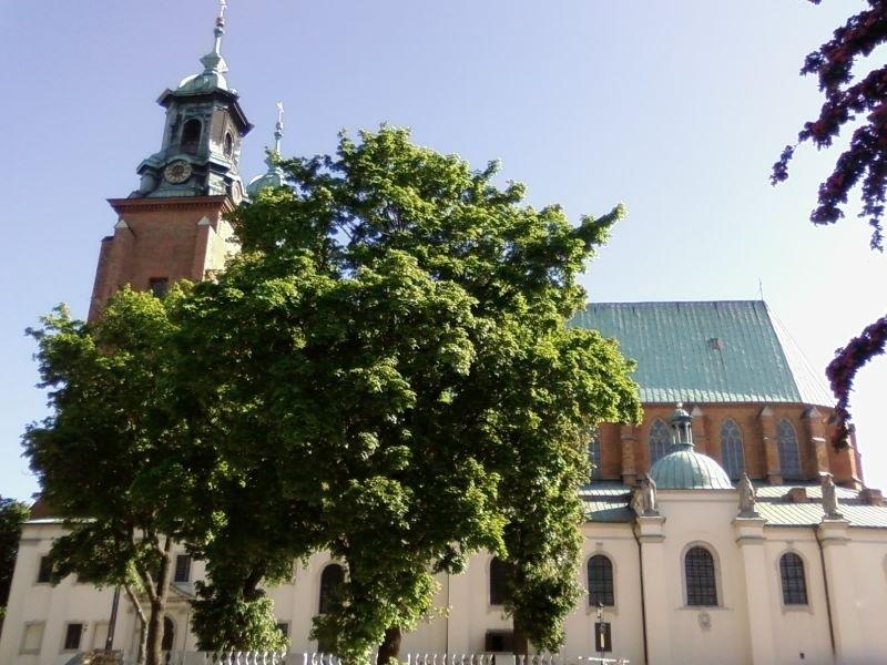 Katedra w Gnieźnie