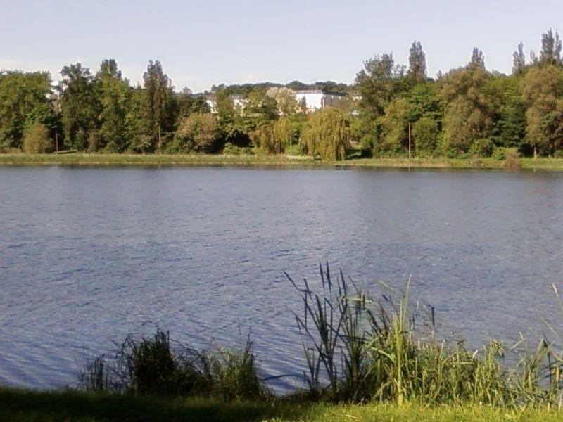Jezioro Jelonek w Gnieźnie