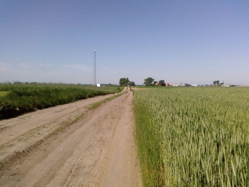 Polna dwupasmówka ;)