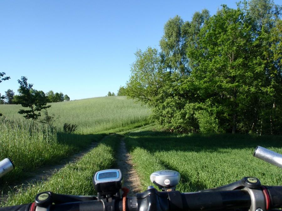 Ścieżka wśród łagodnych pagórków
