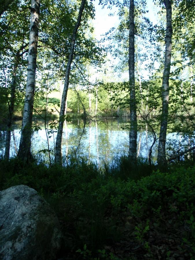Naturalne oczko wodne