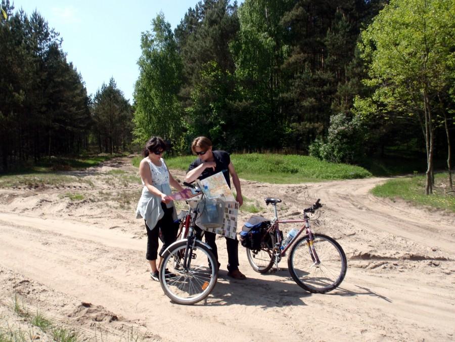 Poszukiwanie drogi