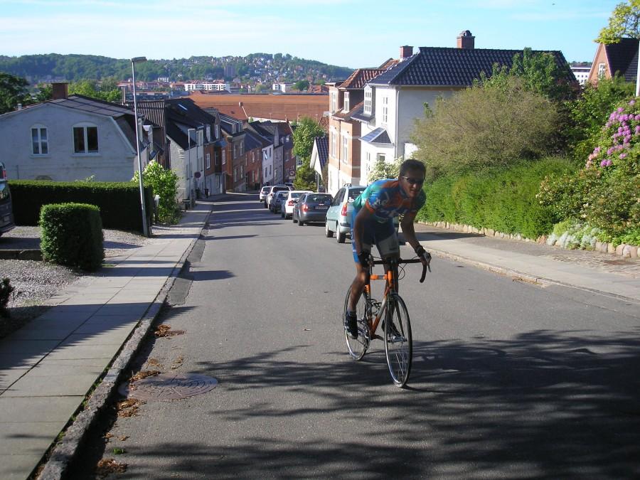 Kiddesvej z widokiem na Vejle