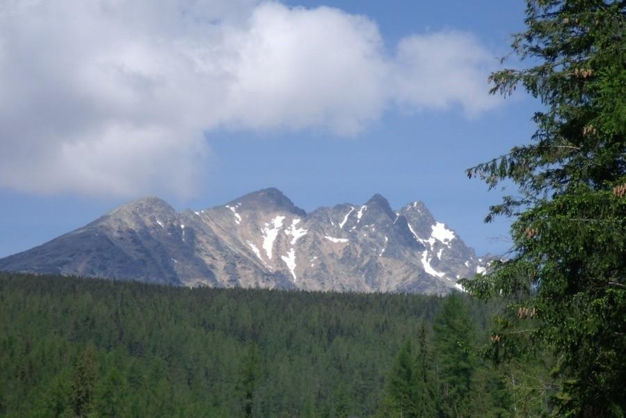 Widoczek