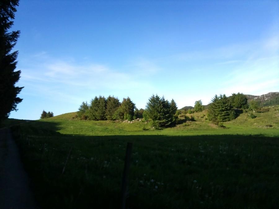 Norheim