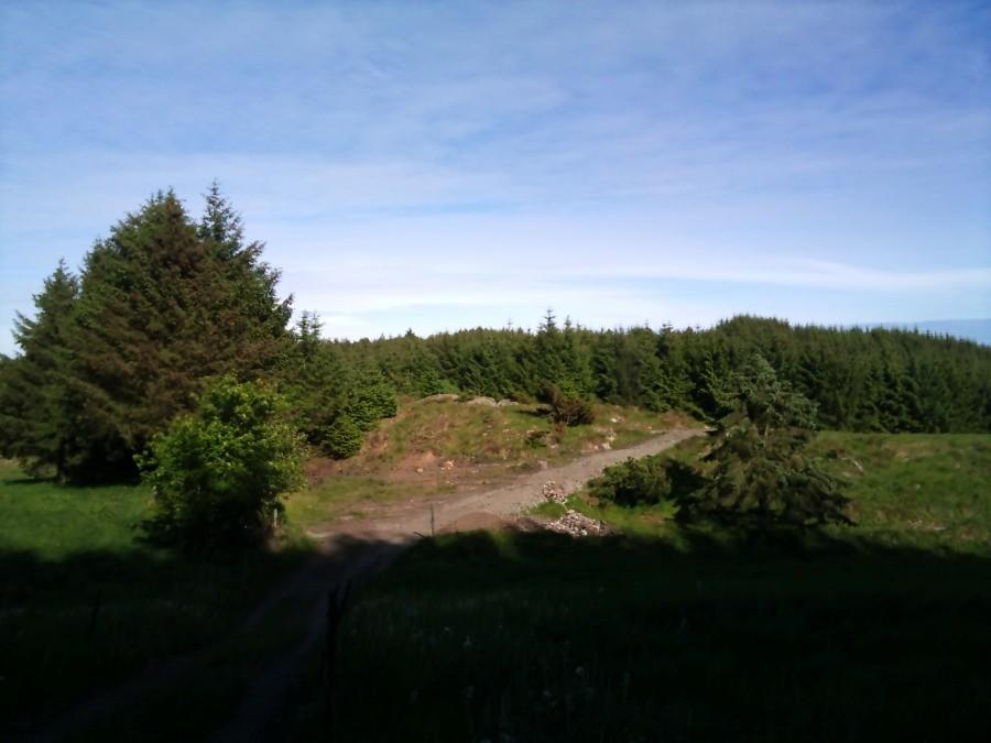 Norheim