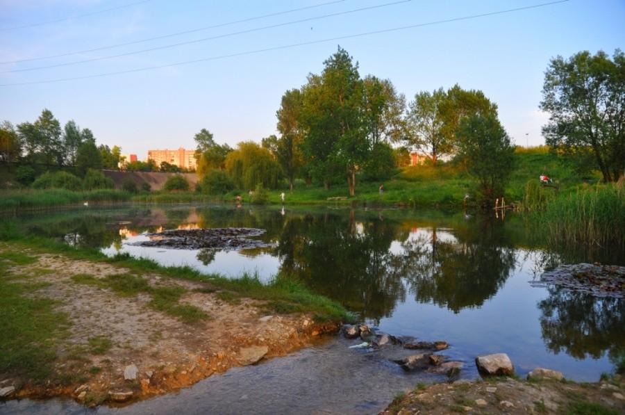 Sosnowiec - Środula Staw