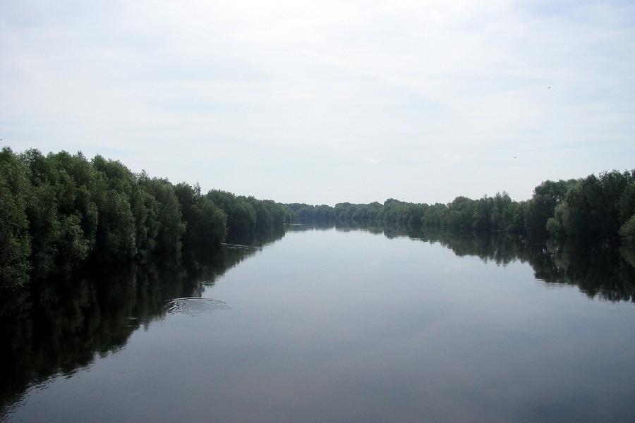 Widok na Wartę w Kostrzynie