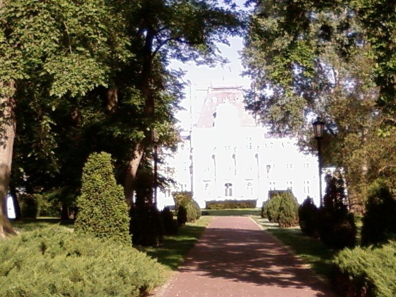 Pałac w Zakrzewie
