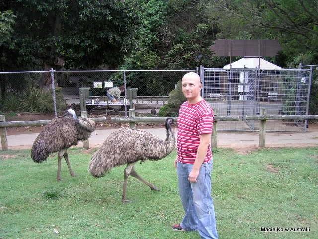 Ze emu