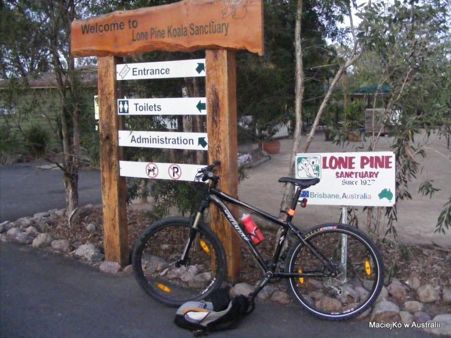 Lone Pine Koala Sanctuary