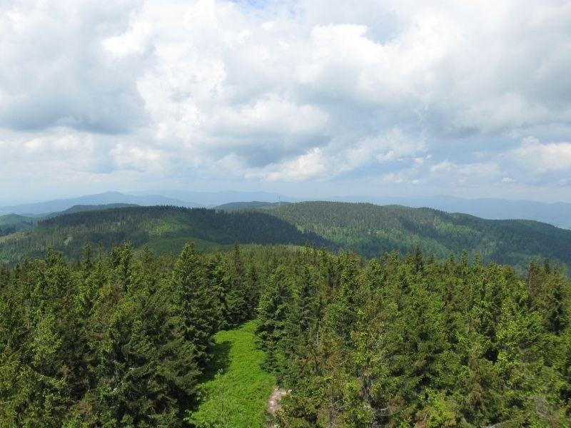 W oddali Przehyba- widok z wieży na Radziejowej.