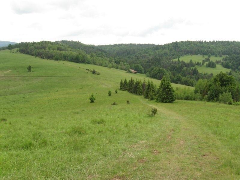 Raz pod górę, raz w dół.