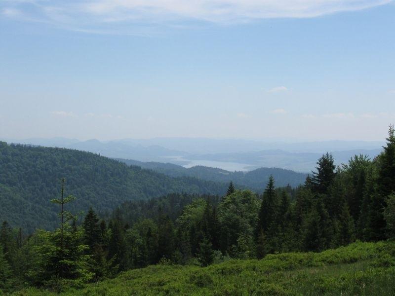 Dolina Dunajca.