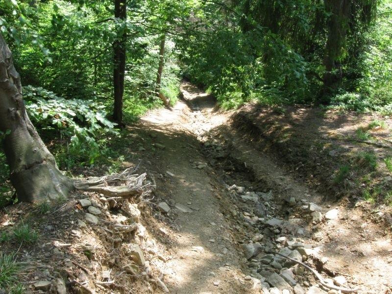 Zjazd do Przeł. Knurowskiej- bardziej lajtowy odcinek.