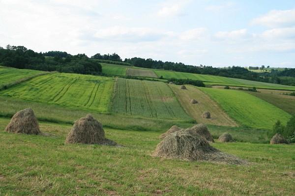 Granice Kłonickie
