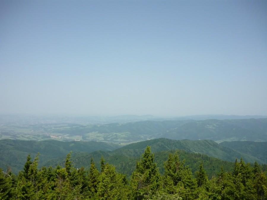 Widok z Radziejowej