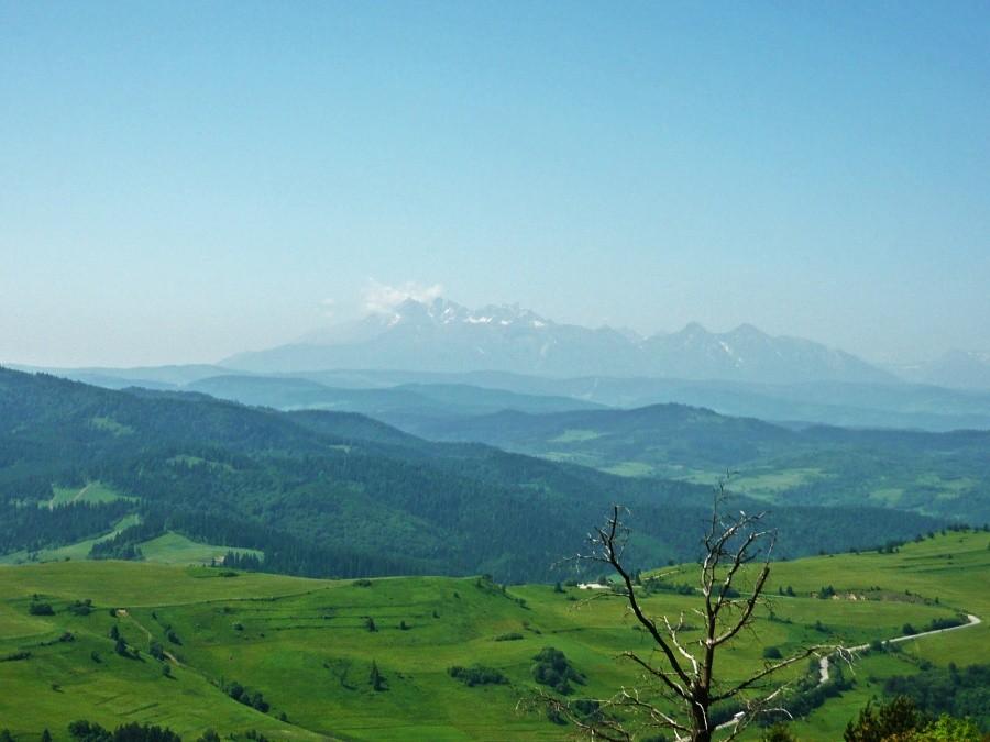 Widok na Tatry z Wysokiego Wierchu