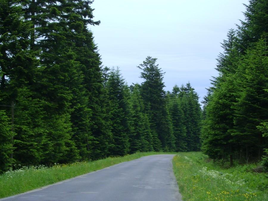 W kierunku Komańczy