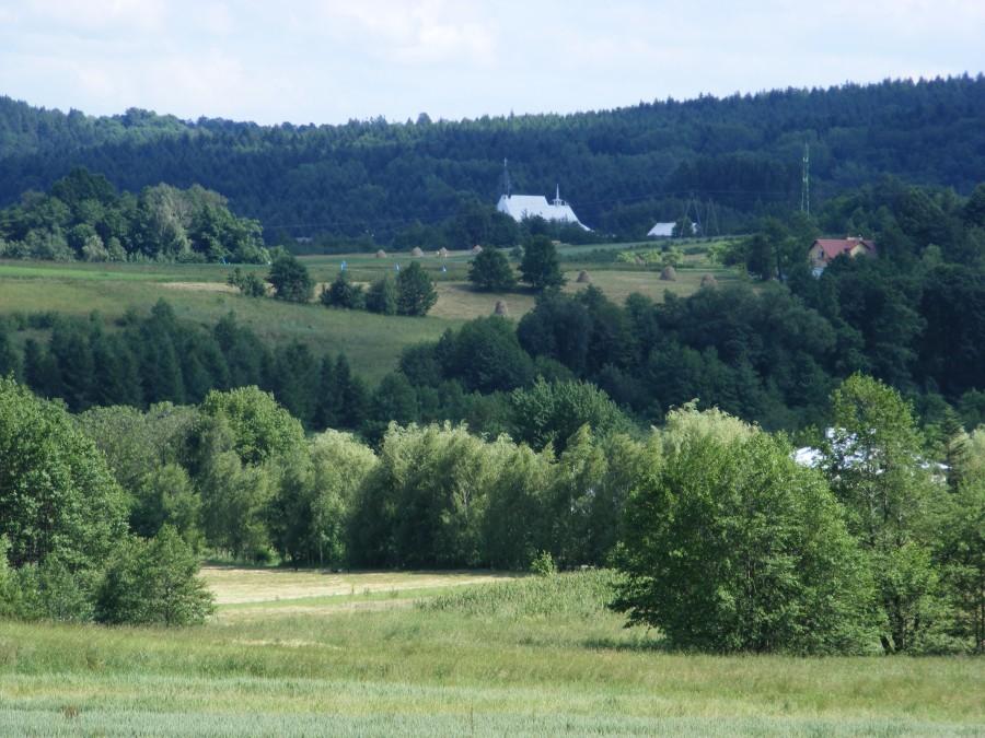 Góreczki w czasie zjazdu