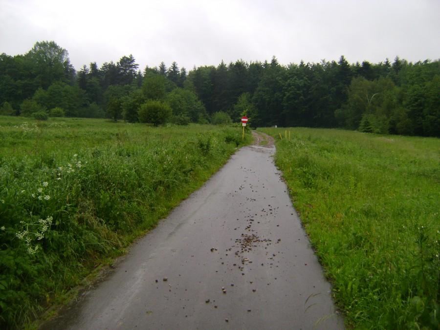 Droga w kierunku wyciagu w Rymanowie Zdrój
