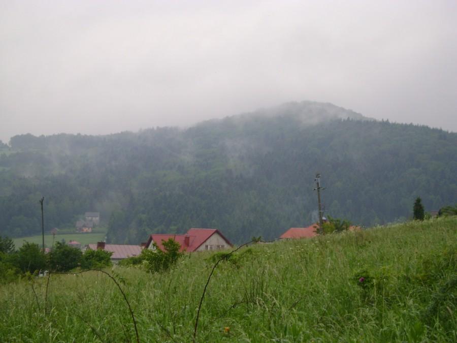 Widok na góry Beskidu Niskiego - Rymanów Zdrój