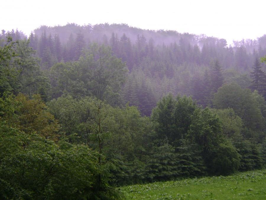Widok na góry Beskidu Niskiego-Rymanów Zdrój