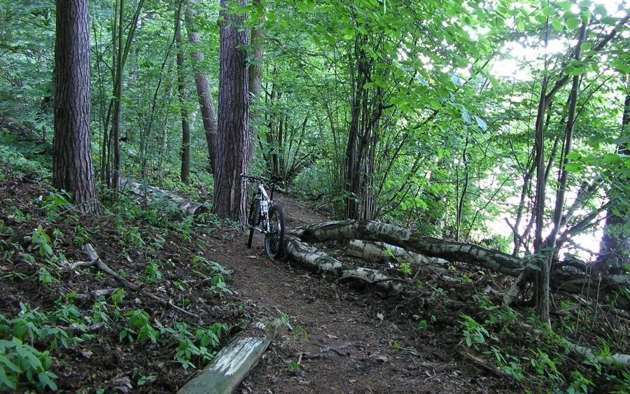 Singletrack w WPN-ie