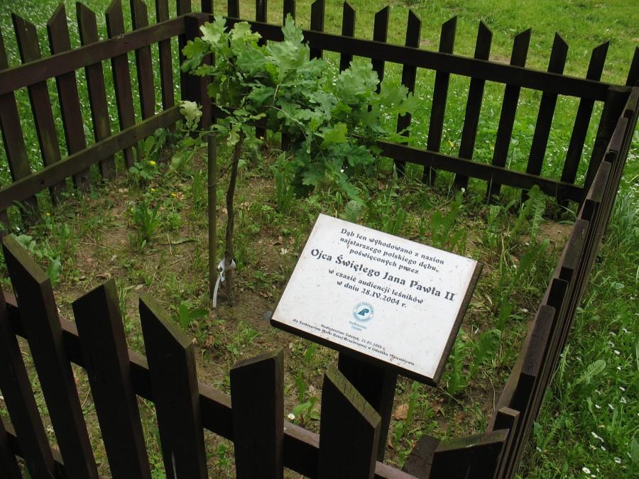 Gdańsk - Matemblewo