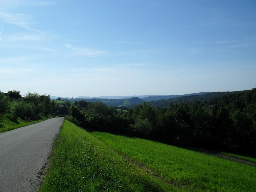 Widoczek