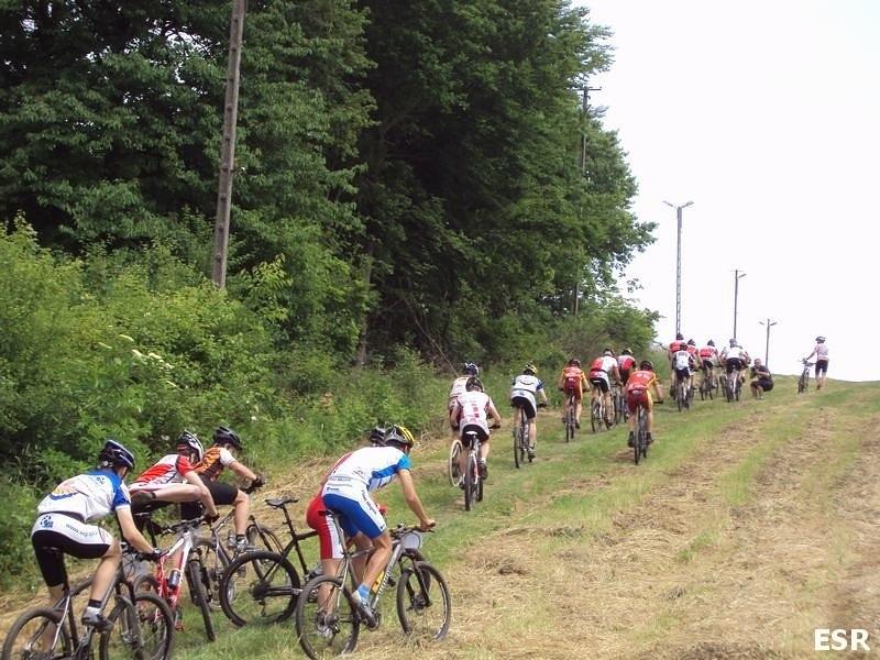 Bażantarnia XC