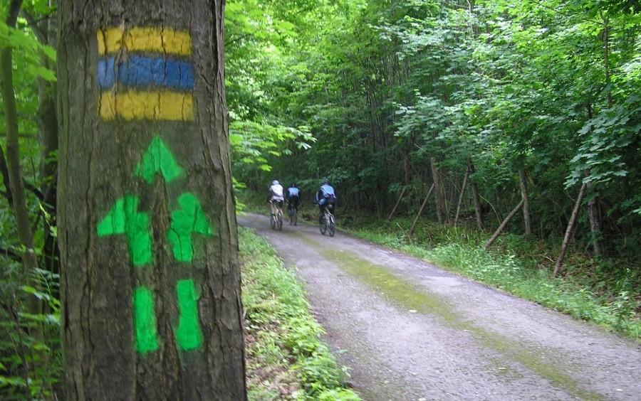 Oznakowanie trasy rowerowej