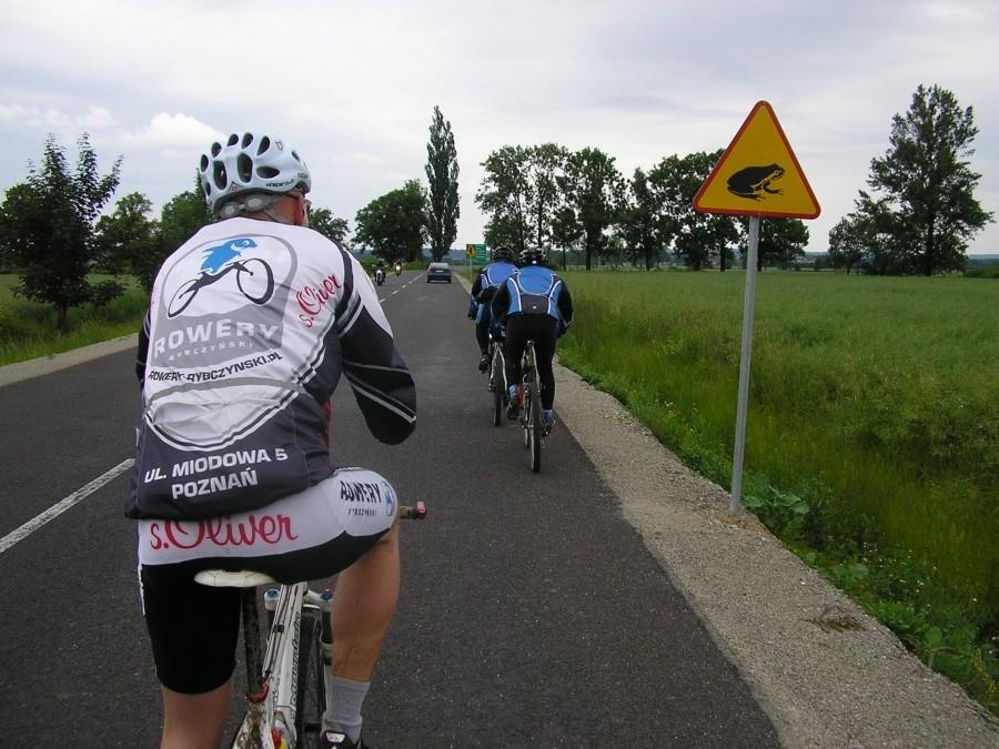 Bikerzy i uwaga na żaby