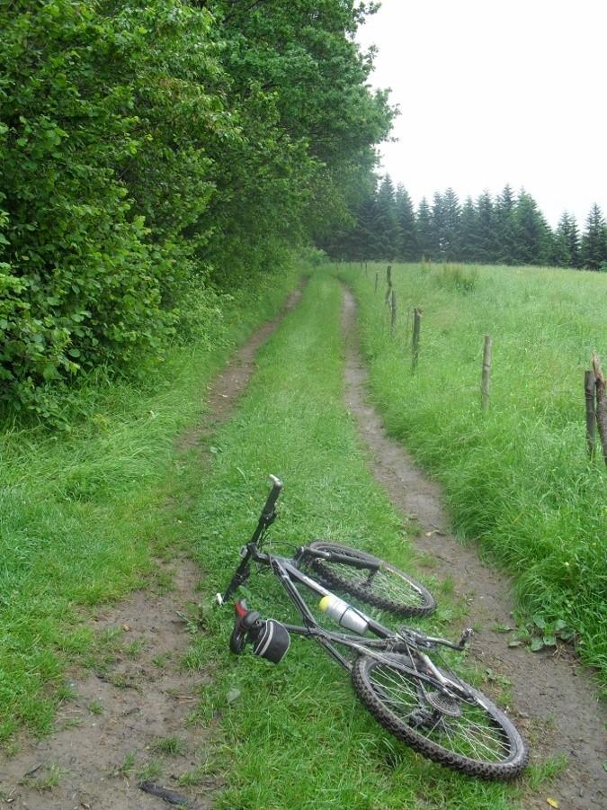 niebieski szlak